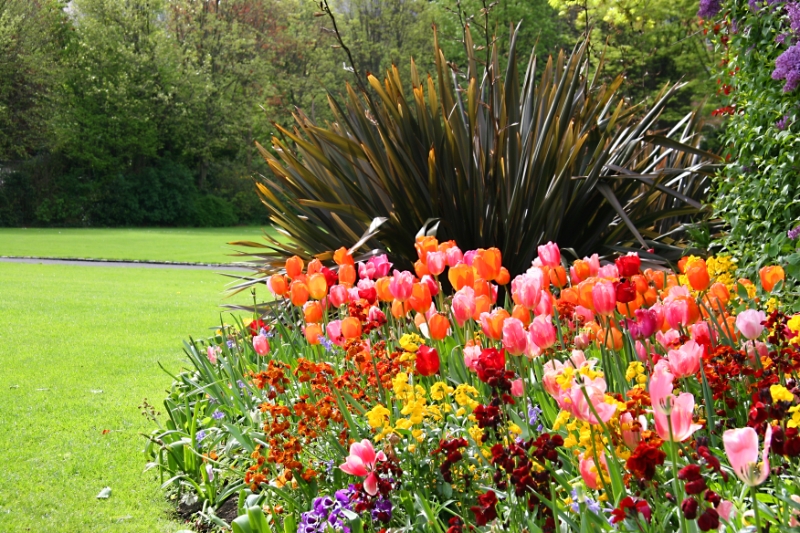 Gardens, Dublin Ireland 2.jpg